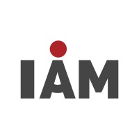 I AM Consulting Group logo - Similar company to Anova Research