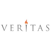 Veritas logo - Similar company to Vistor
