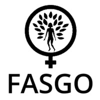 FASGO logo - Similar company to Chimertech Private Limited