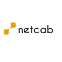 NetCab logo - Similar company to Umbo