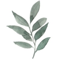 Laundry Day NYC logo - Similar company to Decrous