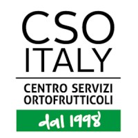 CSO ITALY - Centro Servizi Ortofrutticoli logo - Similar company to Che Orto