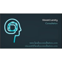 Vincent Landry Consultation logo - Similar company to Forcemedic