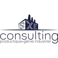 SXE-Consulting logo - Similar company to S.T.I.Lux S.A.