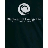 BlackCamel Energy Ltd logo - Similar company to Crown Realties