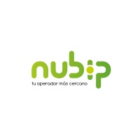 Nubip logo - Similar company to Sapmin Basis Services