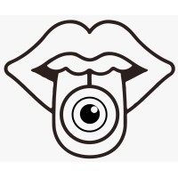 LSSD Factory logo - Similar company to Hivesoft