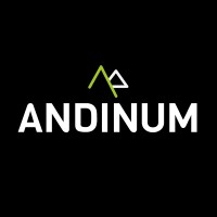 Andinum logo - Similar company to Digital Minds La