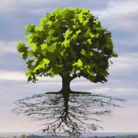 Banton Business & Legacy Law