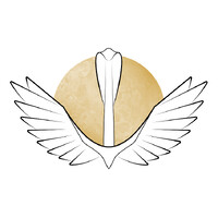 AML Mgmt logo - Similar company to Lænce