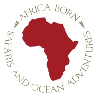 Africa Born logo - Similar company to One Blue Marble
