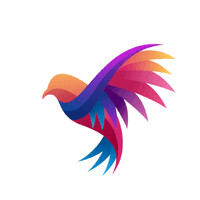 Fintech for All logo - Similar company to Ladies In Tech