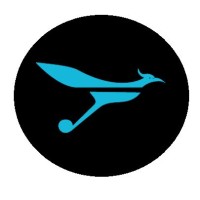 RoadRunAir logo - Similar company to Binga | Payment Solutions For The 21St Century