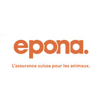 Epona logo - Similar company to Vct Vector Gestion Sa