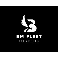 BM FLEET LOGISTIC logo - Similar company to Bm Group