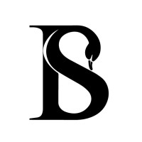Black Swan Capital logo - Similar company to Black Swan Investment Group Llc