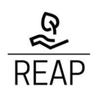 REAP Africa logo - Similar company to Techroom