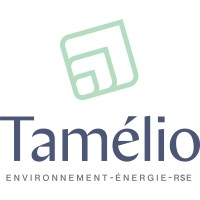 Tamélio logo - Similar company to Teeo