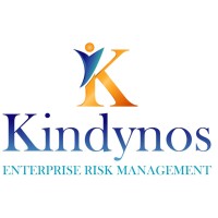 Kindynos ERM S.A.S logo - Similar company to Toroidee