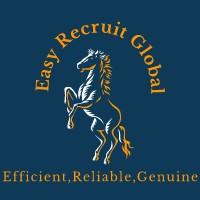 EasyRecruitGlobal logo - Similar company to Gssnar Games