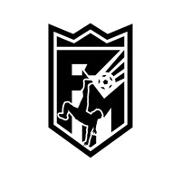 FM Elite Programs logo - Similar company to Bellevue United Fc