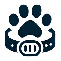 Collie logo - Similar company to Icorlab