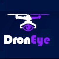 DronEye Tech logo - Similar company to Naturerisk.