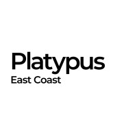 Platy logo - Similar company to Foresight Advisory