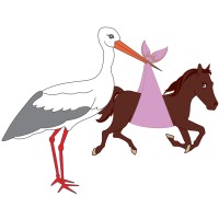 Equine Reproductive Services (UK) Limited logo - Similar company to Ieidc 2024