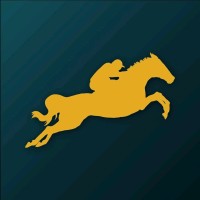Old Gold Racing logo - Similar company to Camperking