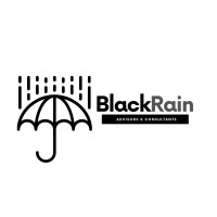 Black Rain Advisors & Consultants logo - Similar company to Web Hosting | Black Solutions