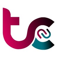 Taiba Connect For Information Technology logo - Similar company to Gtw It Solutions