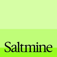 Saltmine logo - Similar company to Celiveo