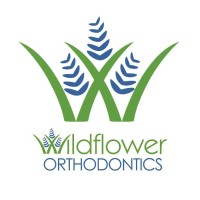 Wildflower Orthodontics logo - Similar company to Beach Cities Orthodontics