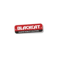 Blackcat logo - Similar company to Black Cat Limited