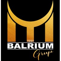 BALRIUM GRUP logo - Similar company to I'Am Group