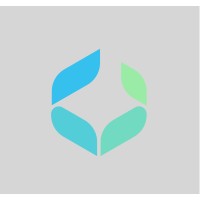 DX Consulting logo - Similar company to Coretecs