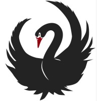 Black Swans Exist logo - Similar company to Standardweb
