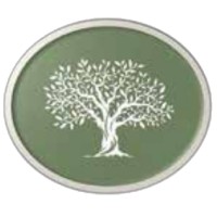Olive Tree International School logo - Similar company to Maharaja Agrasen Public School - Odhav