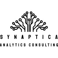 Synaptica Analytics Consulting logo - Similar company to Depth Work Architects (Dwa)