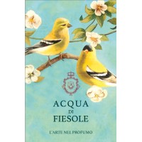 Acqua Di Fiesole logo - Similar company to Cereria L.A.C.