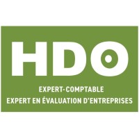 HDO Consulting (Official) logo - Similar company to Odiots