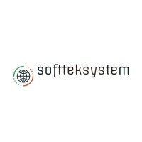softteksystem logo - Similar company to Techinfionus