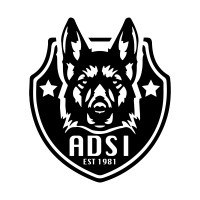 ADSi Software logo - Similar company to Ico Technologies Inc