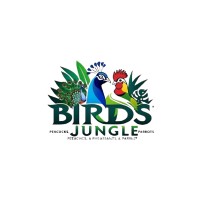 Birds Jungle logo - Similar company to Techno Fortress