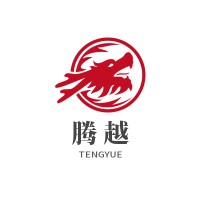Beijing Tengyue Business Consulting Co., Ltd logo - Similar company to Fast Audit Ai
