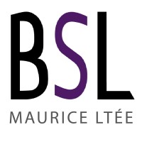 BSL Maurice logo - Similar company to Db Solutions & Services