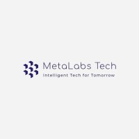 MetaLabs Tech logo - Similar company to Syncore Tech