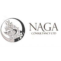 NAGA CONSULTANCY LIMITED logo - Similar company to Lvs Ai