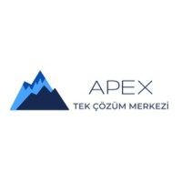 APEX Kurumsal Danışmanlık Hizmetleri San. ve Tic. Ltd. Şti. logo - Similar company to Minor Stüdyo